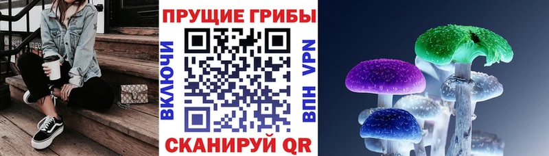 Псилоцибиновые грибы Psilocybine cubensis  цена наркотик  Хотьково 
